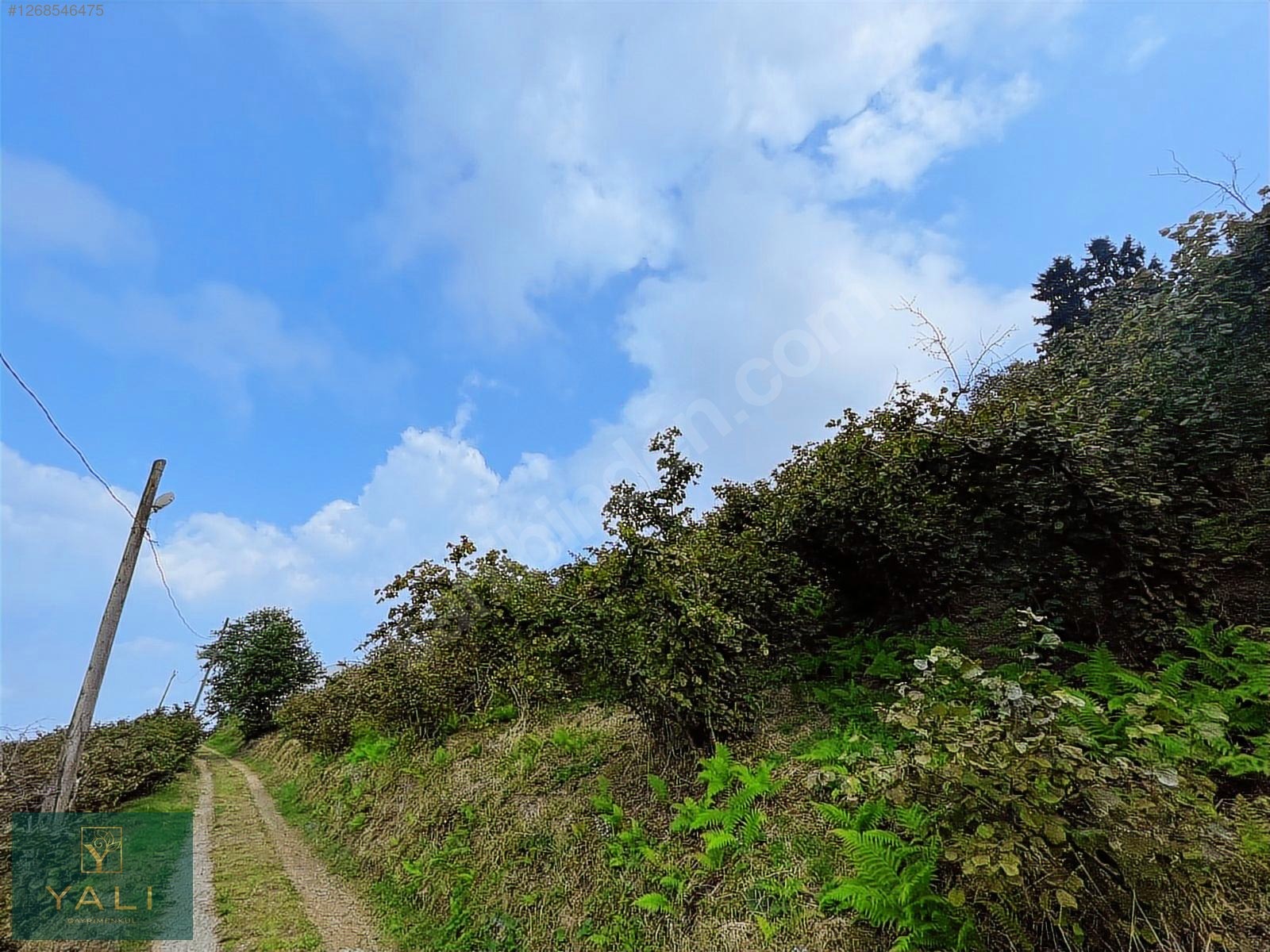GİRESUN MERKEZ YALIKÖY MEVKİİ SATILIK ARAZİ - GİRESUN MERKEZ fotoğraf 21